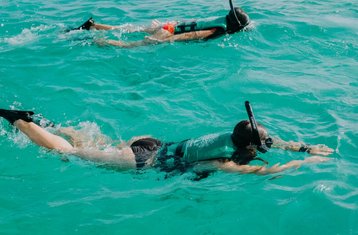 1-Daagse Maya Onderwereld Snorkelervaring nabij Tulum Mexico