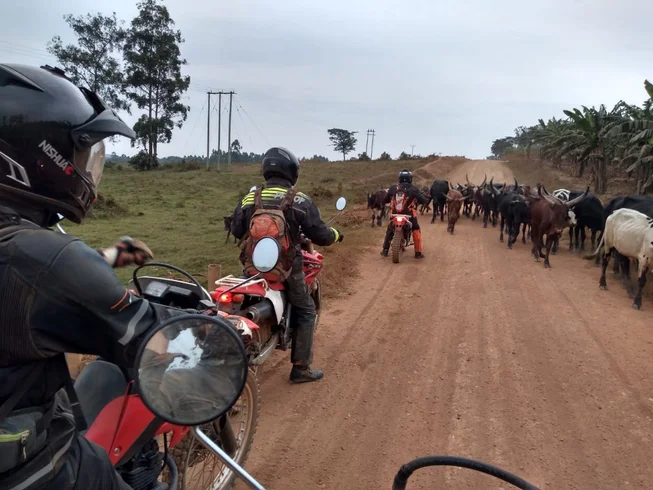 9 Day Guided Motorcycle Tour to Discover the Far Uganda North East photo 6