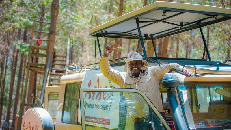 7 Day Unforgettable Tanzania Safari at Tarangire, Ngorongoro, Serengeti, and Lake Manyara