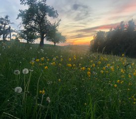 5 Tage Yoga I Breathwork & Wander –Zurück zu Dir, deiner Lebendigkeit & deinem Strahlen – im Allgäu - Photo 2