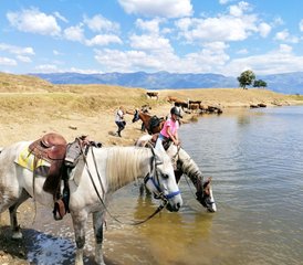 8 jours randonnée équestre dans la montagne de Sredna Gora, Bulgarie - Photo 4