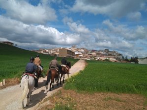 8 Day Camino de Santiago Horse Riding Holiday Roncesvalles - St. Domingo de Calzada, Spain