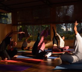 712 Tage 100-Stunden Ganzheitliche Yogalehrer Ausbildung mit Ayurveda Therapie in Rishikesh, Indien - Photo 1