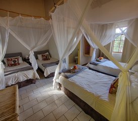 4-Daagse Klassieke Safari in Balule Natuurreservaat en Kruger National Park, Zuid-Afrika - Photo 4