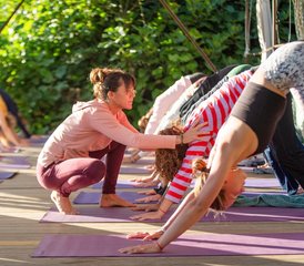 18 días de curso de profesorado de yoga Hatha y Vinyasa de 200 horas en Monchique, Portugal - Photo 2