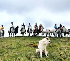 4-daagse point-to-point paardrijtocht door de wildernis van de Karpaten, Roemenië - Photo 4