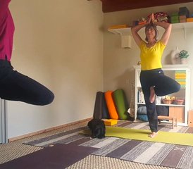 3 Tage privater Kurs für Haltungs-Yoga, Entspannung, Wandern und/oder Radfahren auf der Île d'Oléron, Frankreich - Photo 2