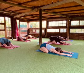 5 Tage Halber Yoga Urlaub in Colares, Portugal - Photo 4
