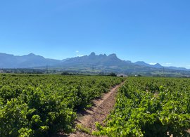 Stellenbosch Retreats und Reisen