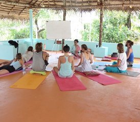 26 días de TTC de yoga Vinyasa y Hatha de 200 horas diseñando clases de yoga transformadoras en Kerala, India - Photo 4
