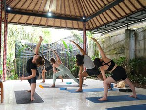 21 Day 200-Hour Special Beginner Yoga Teacher Training Course in Bali, Indonesia