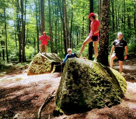 3 jours en week-end de yoga, équilibre et énergie dans la Montagne Noire, en France - Photo 4