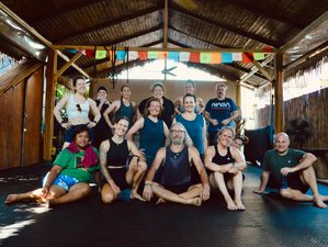 8 Tage Full Body Reset, All-Inklusive Wellness Retreat auf der Wunderschönen Insel Koh Samui