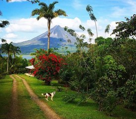 4-Daagse Afslank- En Plezier Vakantie in Arenal, Alajuela, Costa Rica - Photo 5