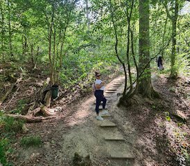 4-Daagse Stilteretraite met Yoga, Meditatie, Wandelen in de Ardennen, België - Photo 2