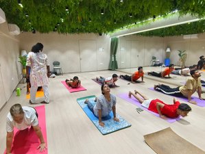 23 Day 200-Hour Philosophy, Transformation, and Yoga Teacher Training in Uttarakhand, India
