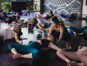 12 Day 100-Hour Vikasa Flow Yoga Teacher Training in Koh Samui, Thailand​