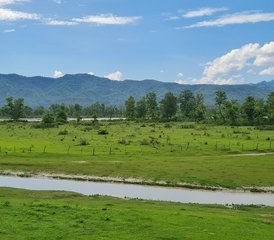 1014 Tage Bestes Ayurveda und Wellness Retreat in Rishikesh, Indien - Photo 1