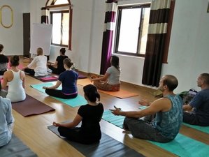 Self-Paced 200-Hour Multi Style Hatha, Ashtanga, and Vinyasa Online Yoga Teacher Training