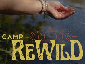 3 Day Camp ReWild: A Wilderness and Wellness Getaway in Michigan, USA