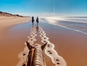 8-Day All-Inclusive Stay with Horseback Riding & Aquagym in an Riad Face Océan, Agadir, Morocco