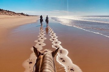 8 Tage All-Inclusive-Aufenthalt mit Reiten und Aquagym in einem Riad Face Océan, Agadir, Marokko
