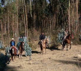 6 Day Comfort Andes Explore Horse Riding Tour in Peru - Photo 5