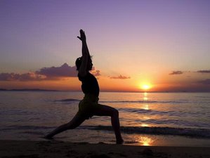 4 Week Online 4-Hour Surya Namaskar Retreat with 4 Weekly 1-Hour Sessions