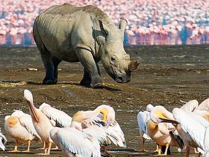  12 Day Ultimate Safari in Kenya and Tanzania