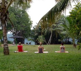 14-Daagse Ayurveda Panchakarma- en Yoga Retreat in Bentota, Sri Lanka - Photo 5