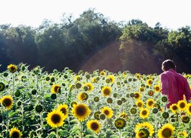 Maryland Retreats & Trips