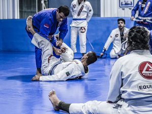 31 Day Brazilian Jiu Jitsu Training in Florianopolis, Santa Catarina 