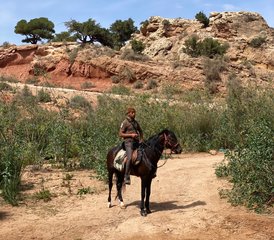 7 jours de randonnée équestre Cavalcade au cœur d’Essaouira au Maroc - Photo 4