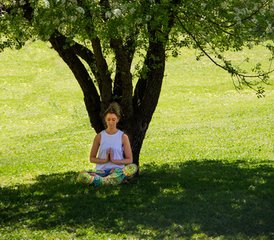 93-Daagse Verdiep Je Inzicht in Meditatie En Yoga Weekend Retreat in Adelaide, Australië - Photo 1