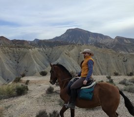 6-Daagse Pack “Een Landschap bij Elke Galop” Paardrijvakantie in Almería, Spanje - Photo 4
