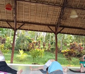 11 Day Belonging, Authenticity, and Vulnerability Yoga Holiday in Bali, Indonesia - Photo 5