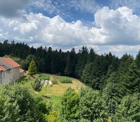 4 Tage Yogastage, Spaziergänge auf den Wanderwegen und veganes Essen in Auvergne, Frankreich - Photo 3