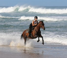4 Day Horse Riding Weekend in the Landes, France - Photo 5