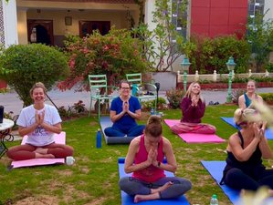 12 Day Sober Yoga Adventure in India