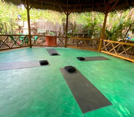 64 Day Yoga Holiday in Dambulla, Sri Lanka - Photo 1