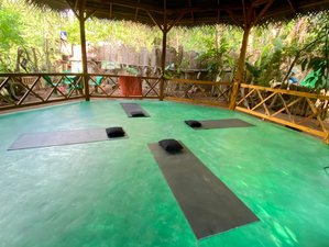 4 Day Yoga Holiday in Dambulla, Sri Lanka
