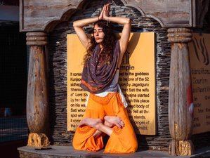 18 Day 200 Hour Ayurveda, Yoga Nidra, Meditation, Hatha & Vinyasa Yoga Teacher Training in India