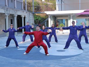 2 Week Introduction Tai Chi & QiGong Training near HongKong / FangYuan TaiChi Retreat 