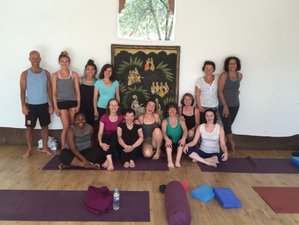 Online 200 Hour Hatha Flow Yoga Teacher Training with Sally Parkes