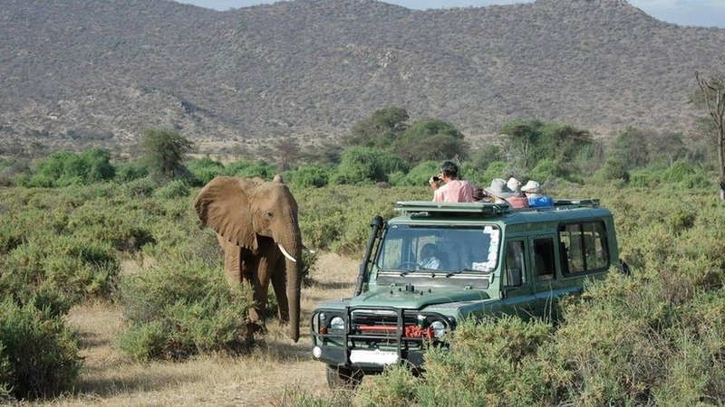 7-Daagse Safari in de Maasai Mara, Lake Nakuru, Lake Naivasha en Amboseli, Kenia