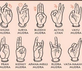 Online Meditation, Yoga, and Mudra Healing Course for Your Immunity Booster Over 10 Weeks - Photo 5