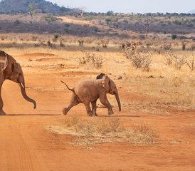 10-Daagse Onvergetelijke Kitesurf- En Safarireis in het Kaapse Schiereiland, Zuid-Afrika - Photo 2
