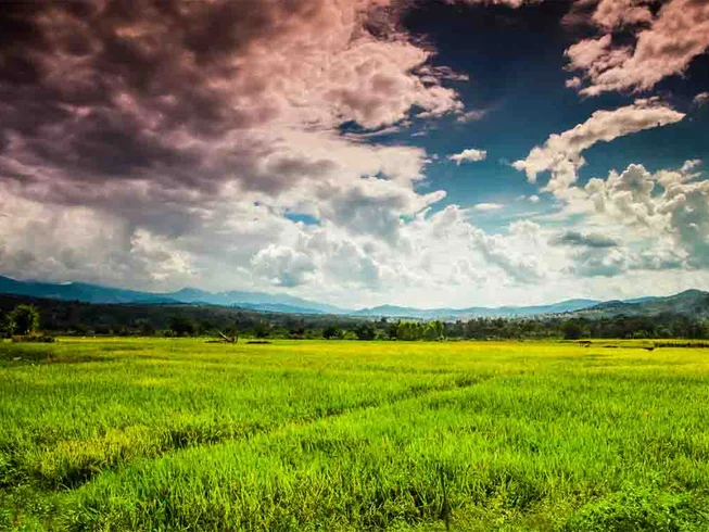 10 Day Best of the North Guided Motorcycle Tour in Thailand photo 9
