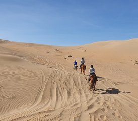 8-Daagse sportieve rit van woestijn naar oase: paardrijtocht in Marokko - Photo 2