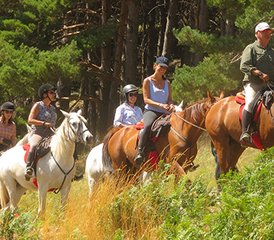 7 Day Four Valleys Horse Riding Tour in Spain - Photo 2